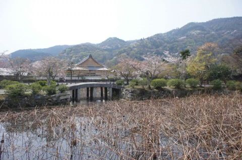 Arashiyama in Kyoto